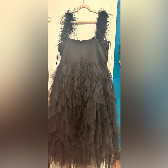 Fashion Nova Black Feathered Tulle Dress - Picture 6 of 9